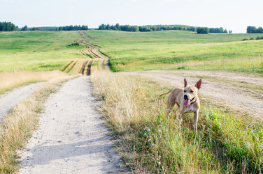 Similar image 21005515