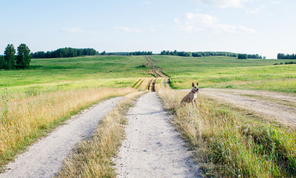 Similar image 21005516