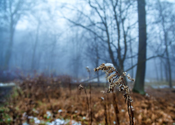 Similar image 21005625