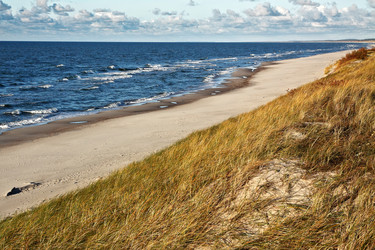 Similar image 21005635