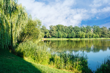 Similar image 21005640