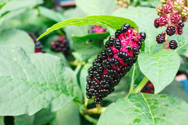 Similar image 21005642