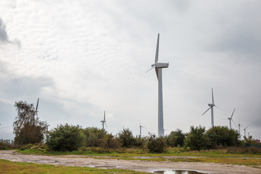 Similar image 21005679