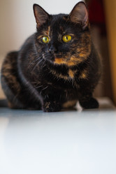 Similar image 21004910