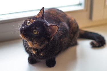 Similar image 21004911