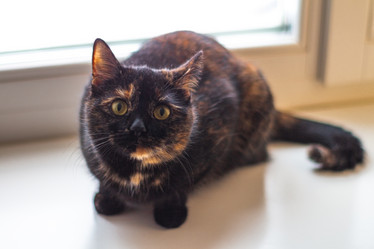 Similar image 21004912