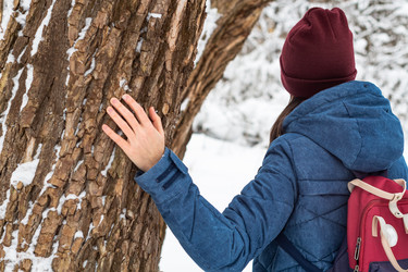 Similar image 21016503