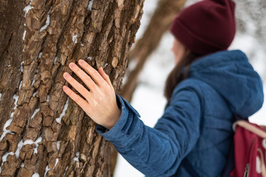 Similar image 21016504