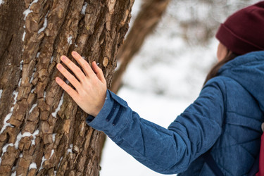 Similar image 21016505