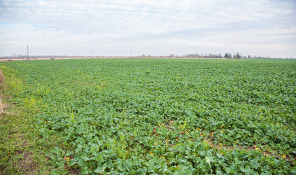 Similar image 21005681