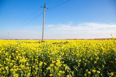 Similar image 21005350