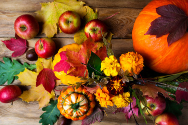 Similar image 21008498