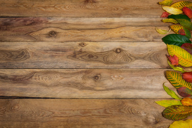 Similar image 21009029