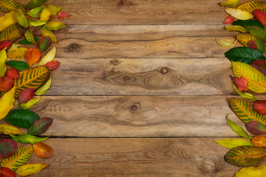 Similar image 21009030