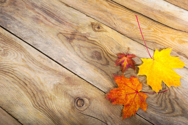 Similar image 21008505