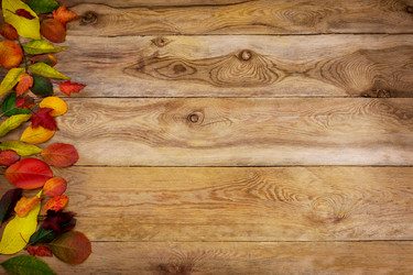 Similar image 21009036