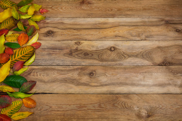 Similar image 21009040