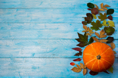 Similar image 21009054