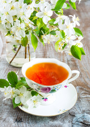 Similar image 21009184