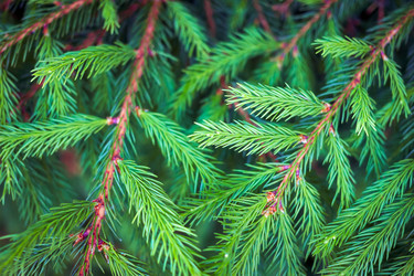 Similar image 21004970