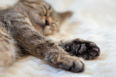 Similar image 21004971