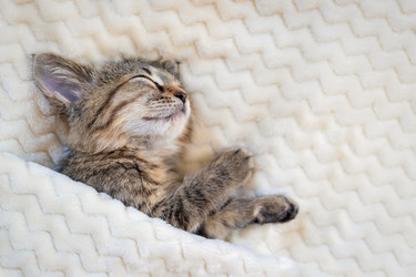 Similar image 21004972