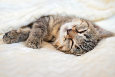 Similar image 21004973