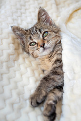 Similar image 21004974