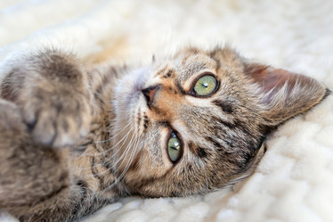 Similar image 21004975