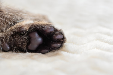 Similar image 21004977