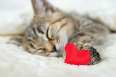 Similar image 21004978