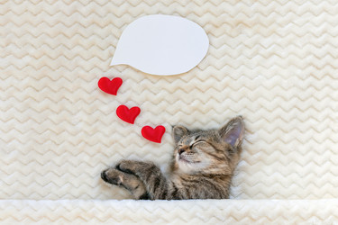 Similar image 21004980