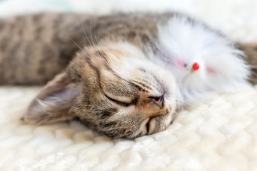 Similar image 21004981