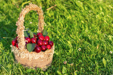 Similar image 21004984