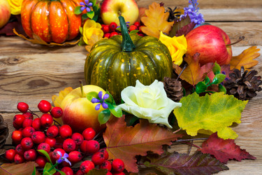 Similar image 21009204