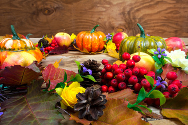 Similar image 21009242