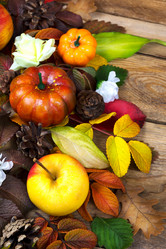 Similar image 21016620