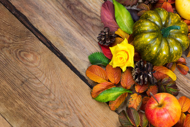 Similar image 21016621