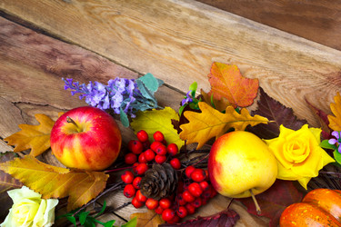 Similar image 21016628