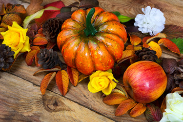 Similar image 21016640