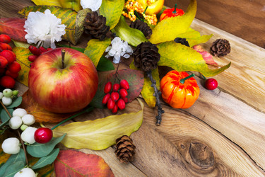 Similar image 21016642