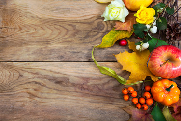 Similar image 21008445