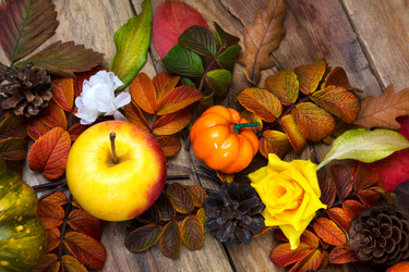 Similar image 21008446