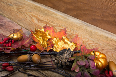 Similar image 21008449