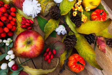 Similar image 21008456