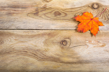 Similar image 21008483