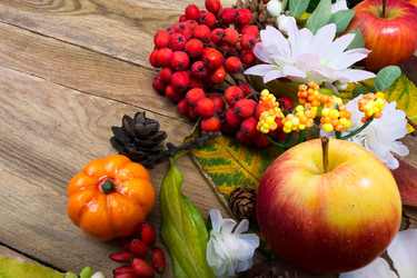 Similar image 21008484