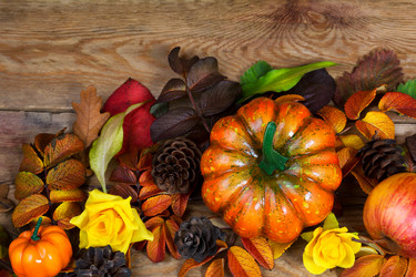 Similar image 21008490