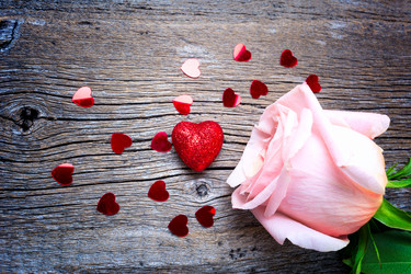 Similar image 21008523