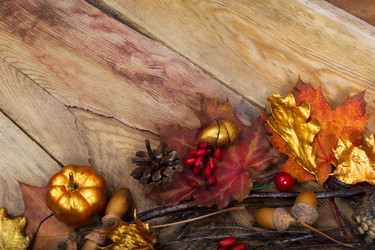 Similar image 21009077